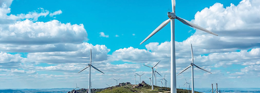 1606122960663575.jpg 444444.jpg